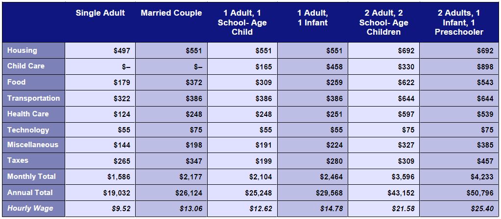 ALICE Report – 2019 SETDD County Budget