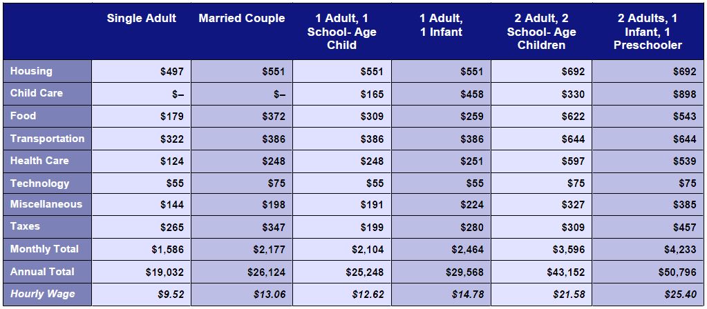 ALICE Report – 2019 SETDD County Budget